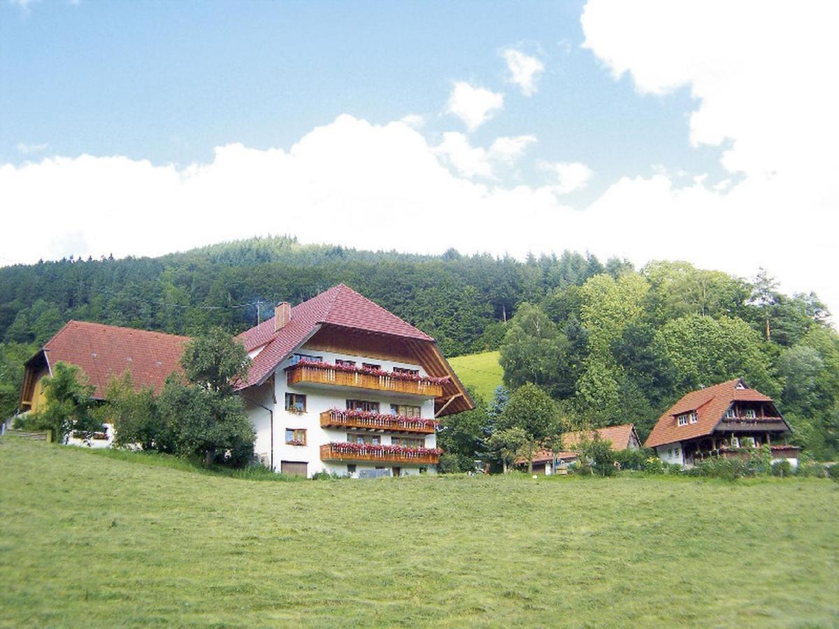 Geigerbauernhof Mühlenbach Exterior foto