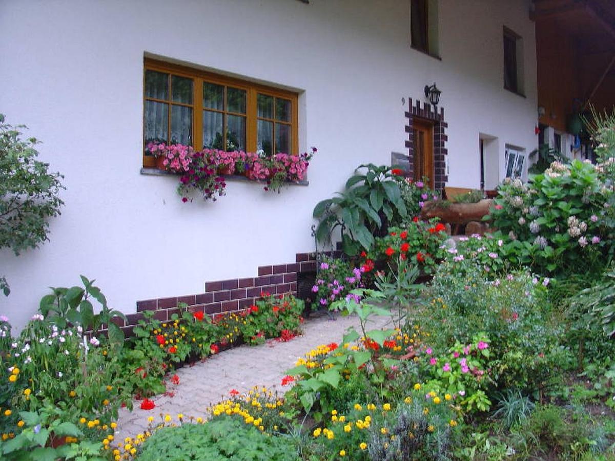 Geigerbauernhof Mühlenbach Exterior foto